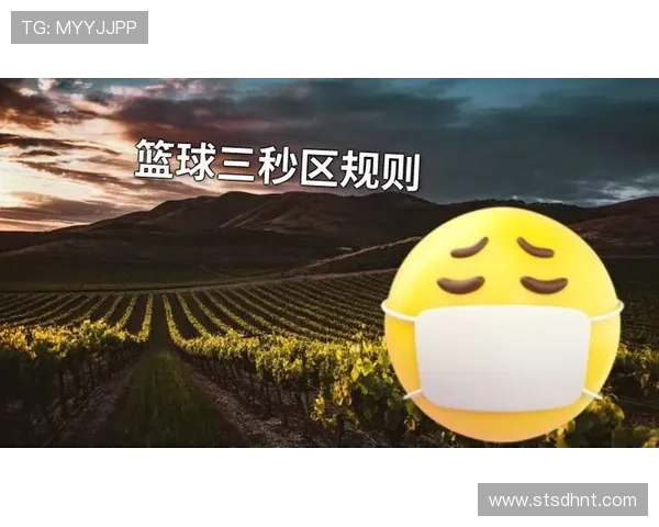 详解篮球三秒区规则的界定标准与违例处罚机制 详解篮球三秒区规则的界定标准与违例处罚机制